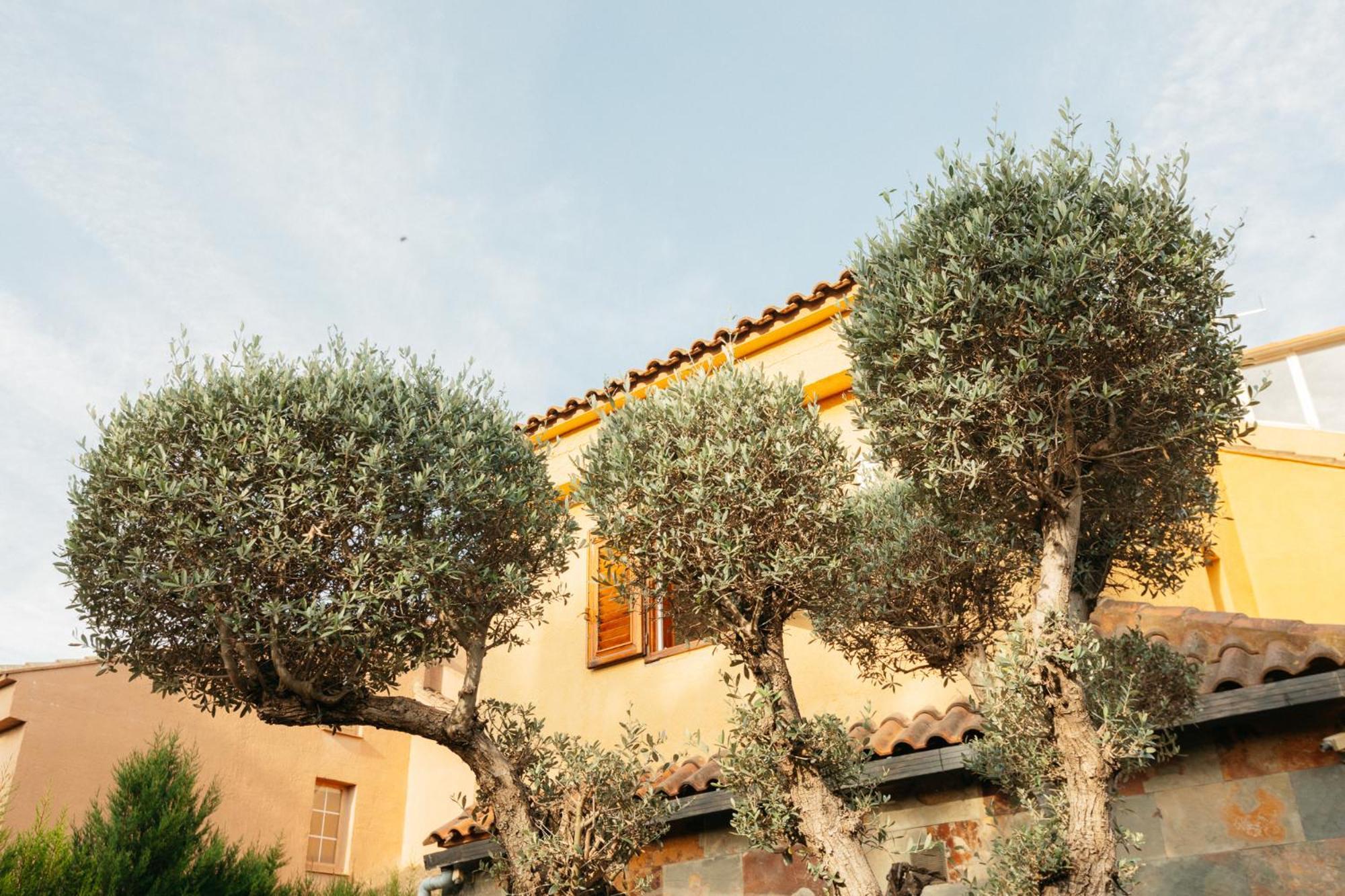 Chalet, Villa Rodeada De Naturaleza Piscina A Doce Klm De Valencia Y 7 Del Aeropuerto Luaran gambar