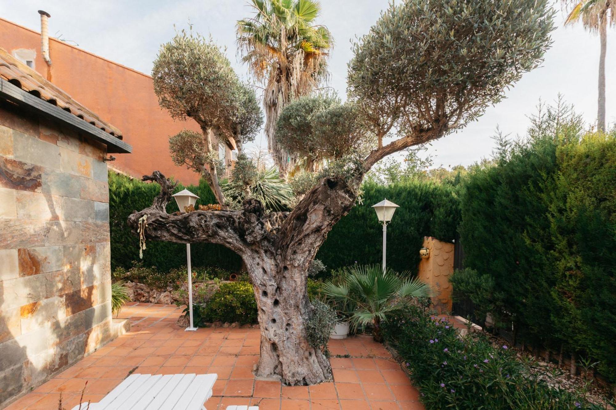 Chalet, Villa Rodeada De Naturaleza Piscina A Doce Klm De Valencia Y 7 Del Aeropuerto Luaran gambar